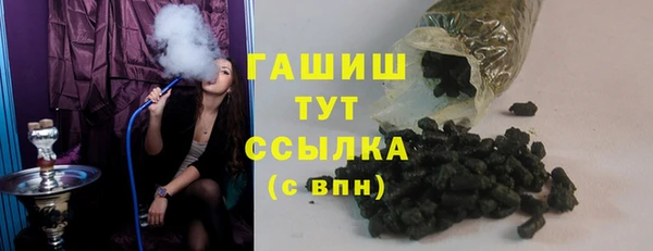 индика Белокуриха