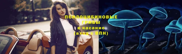 Альфа ПВП Сосновый Бор