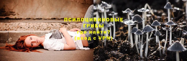 a pvp Сосновка
