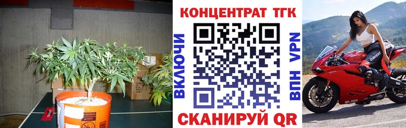 сколько стоит Усть-Катав MEGA вход Дистиллят ТГК вейп